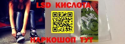 гидропоника Гатчина